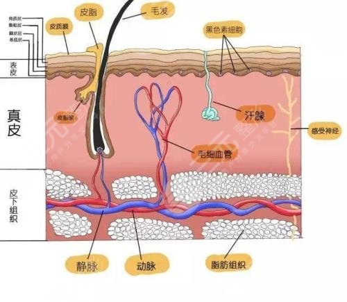 如何有治疗痤疮?