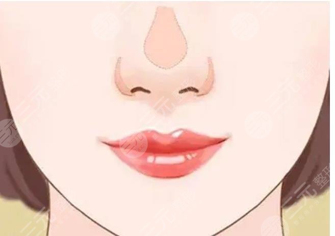 鼻头