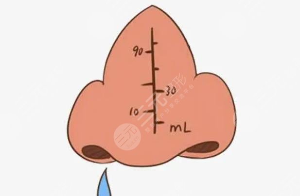 鼻头