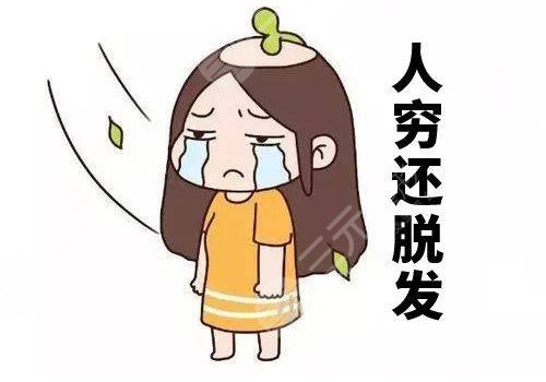 什么治疗脱发果好?