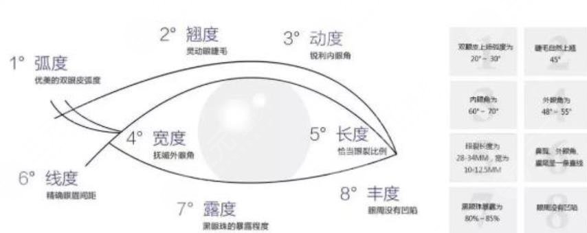 双眼皮