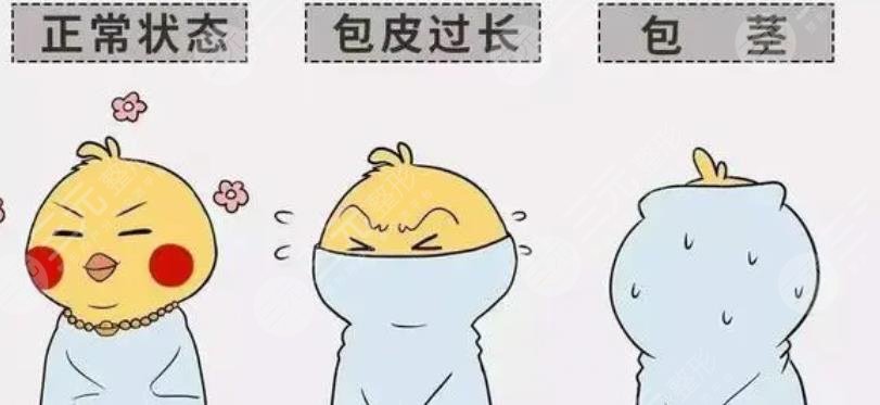割包皮