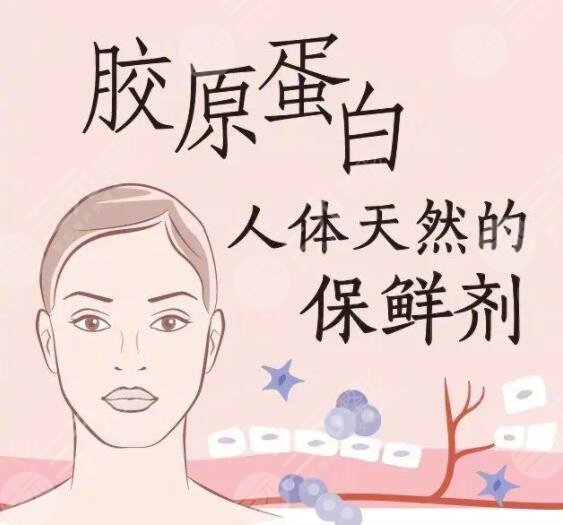 胶原蛋白