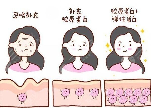 十大胶原蛋白排行榜