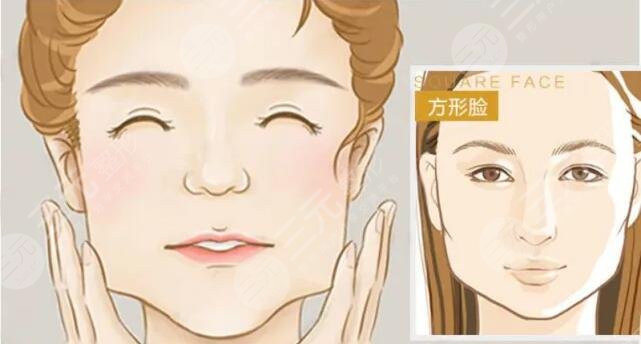 咬肌