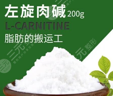 左旋肉碱