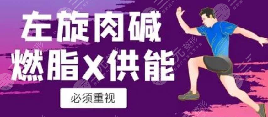 左旋肉碱