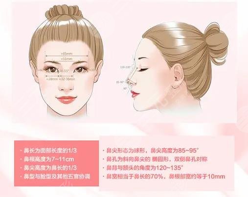 假体隆鼻整形费用大概多少？