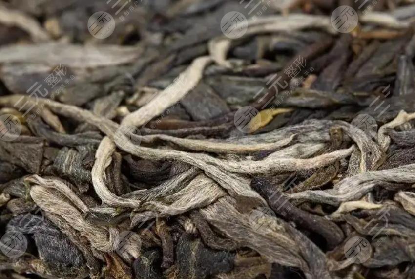普洱茶