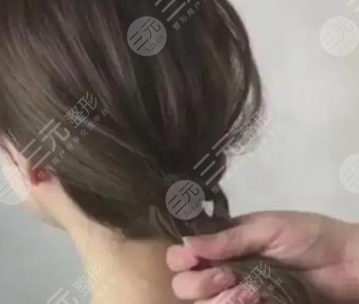 气质低马尾