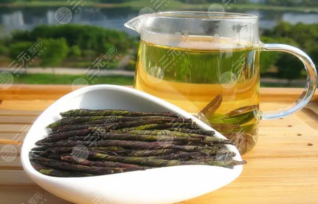 苦丁茶