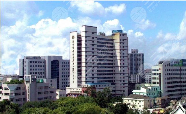 温州医科大学附属第一医院整形科