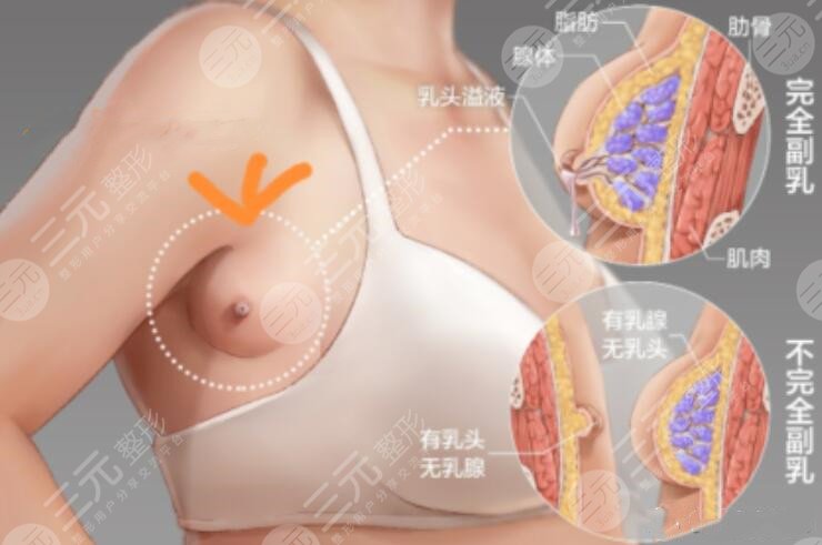 胸部麻木