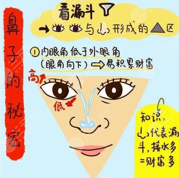 招财鼻是什么样子的？