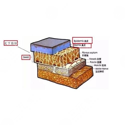 fotona4D有什么功?