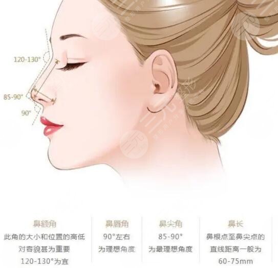 肋骨鼻