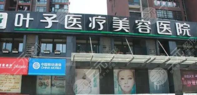 东莞叶子整
