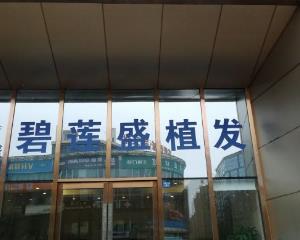 南京碧莲盛植发