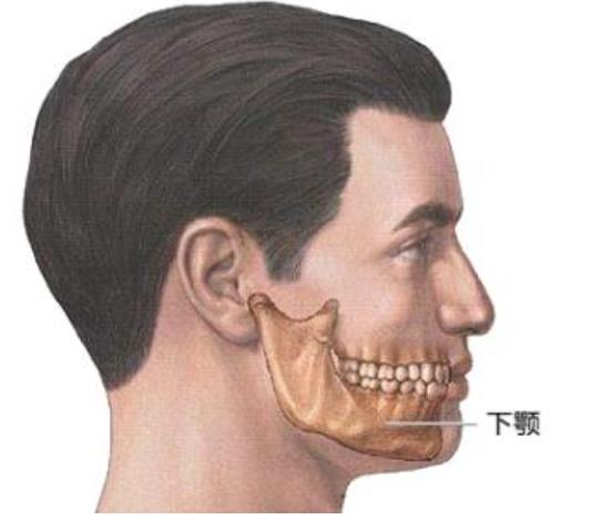下颌角