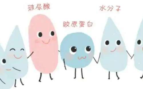 胶原蛋白02.jpg