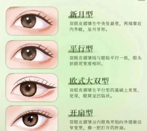 双眼皮