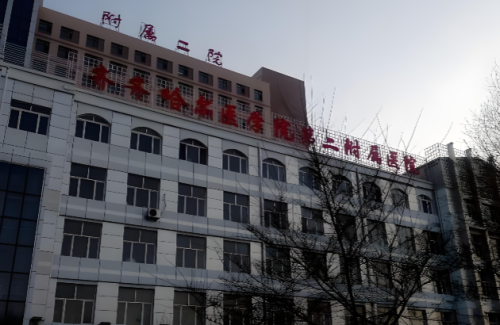 齐齐哈尔医学院附属第二医院.png