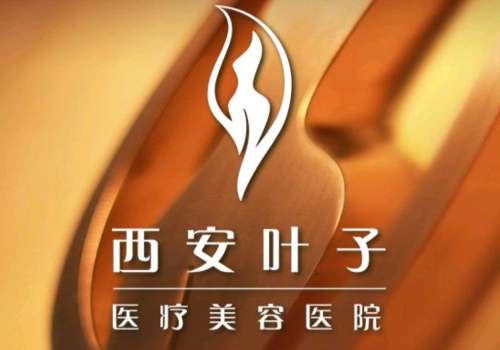 西安叶子医疗美容医院logo.jpg