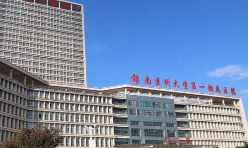 赣南医科大学第一附属医院.jpg