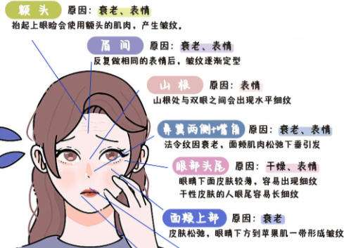 抗衰3.jpg