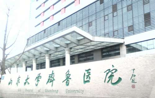 山东大学齐鲁医院.jpg