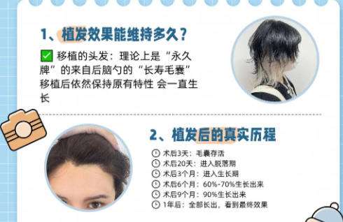 植发1.jpg