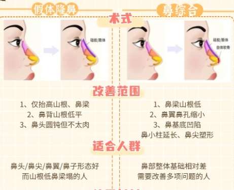 隆鼻.jpg