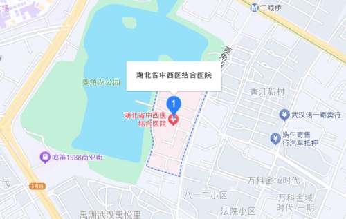 湖北省中西医结合医院地址.jpg