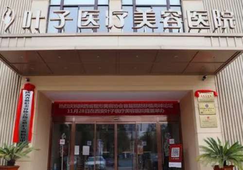 西安叶子医疗美容医院.jpg
