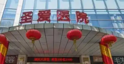 圣爱.png