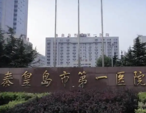 截屏2026-01-17 17.33.57.png