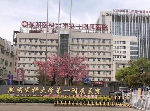 昆明医科大学第一附属医院8899999.jpg