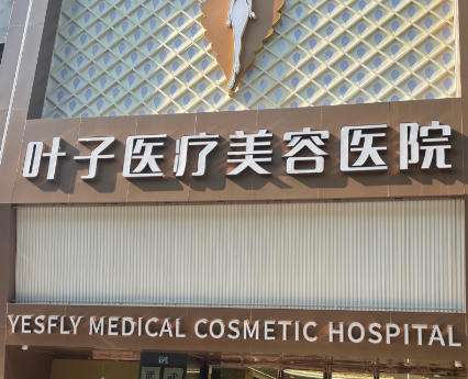 北京叶子.jpg