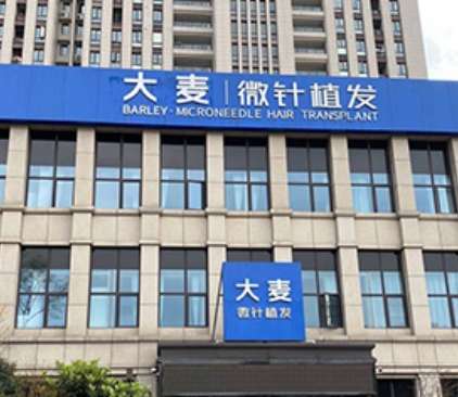 重庆大麦.jpg