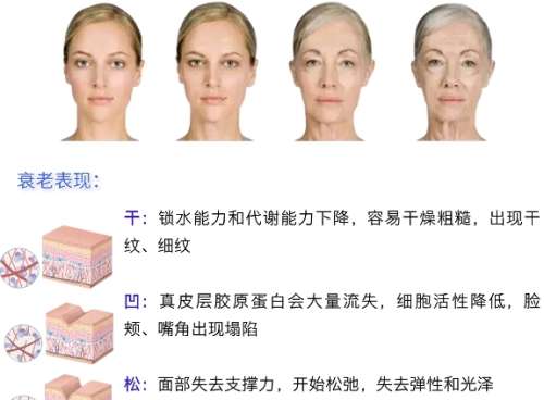 抗衰老