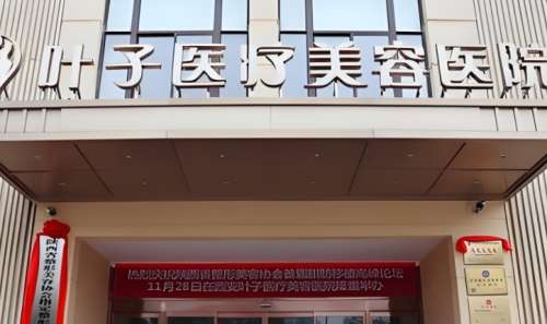 西安叶子医疗美容医院.jpg