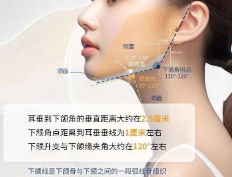 丰下巴