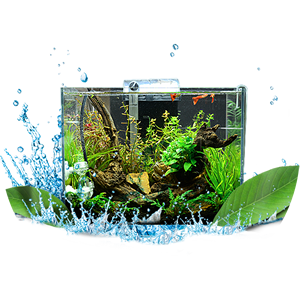 鱼缸·水族箱十大品牌
